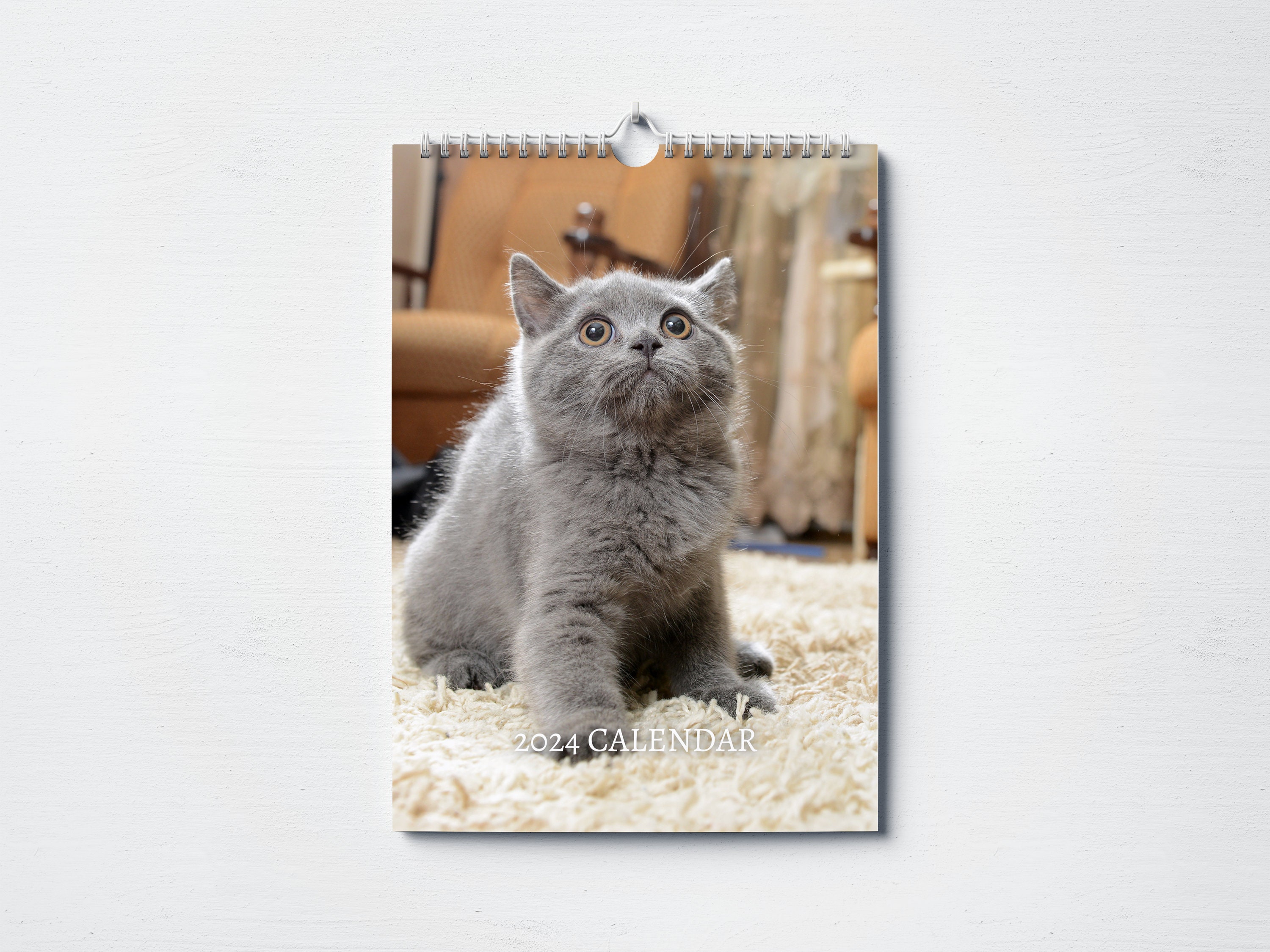 Russian Blue Cat Calendar 2024 Fifi Alberta