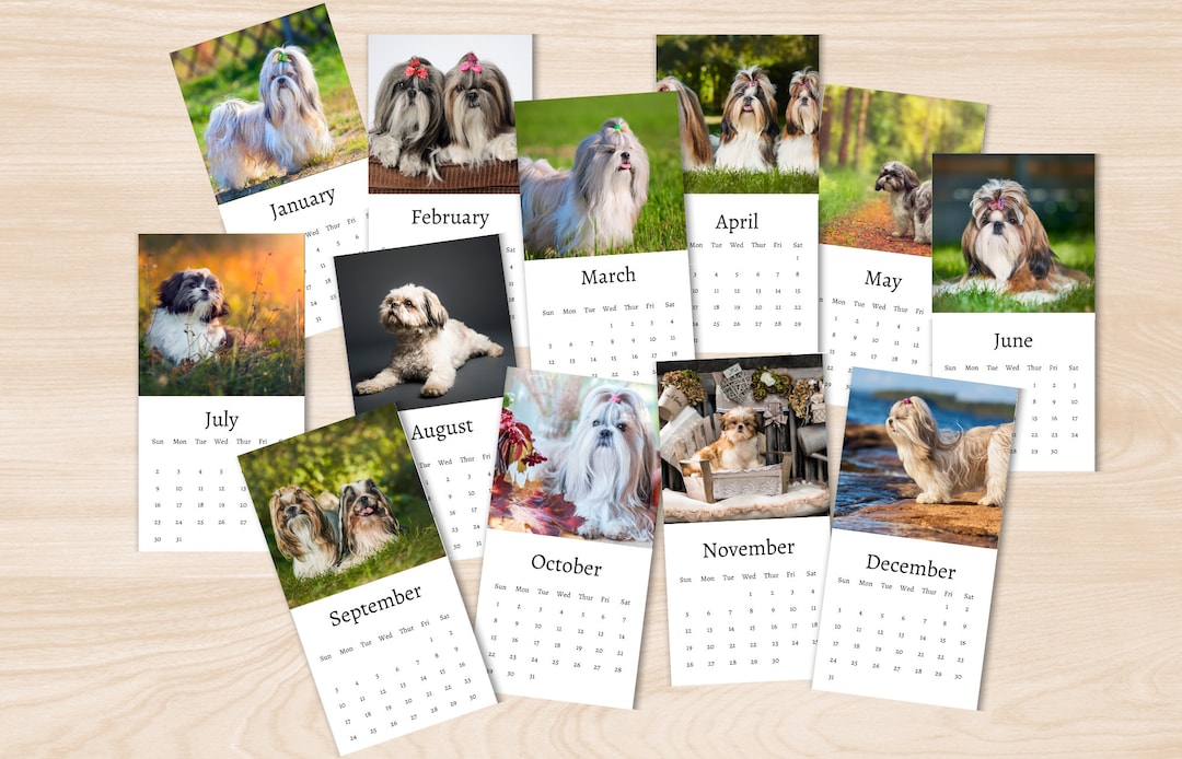 shih-tzu-calendar-2024-mini-desk-calendar-shih-tzu-etsy-canada