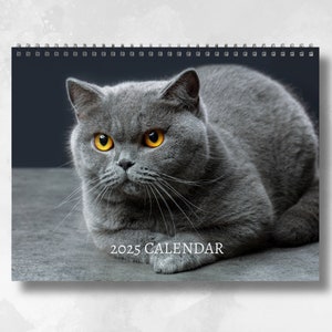 Calendrier British Shorthair Cat 2025 : calendrier mural mensuel avec notes, format A3, dates clés et jours fériés inclus
