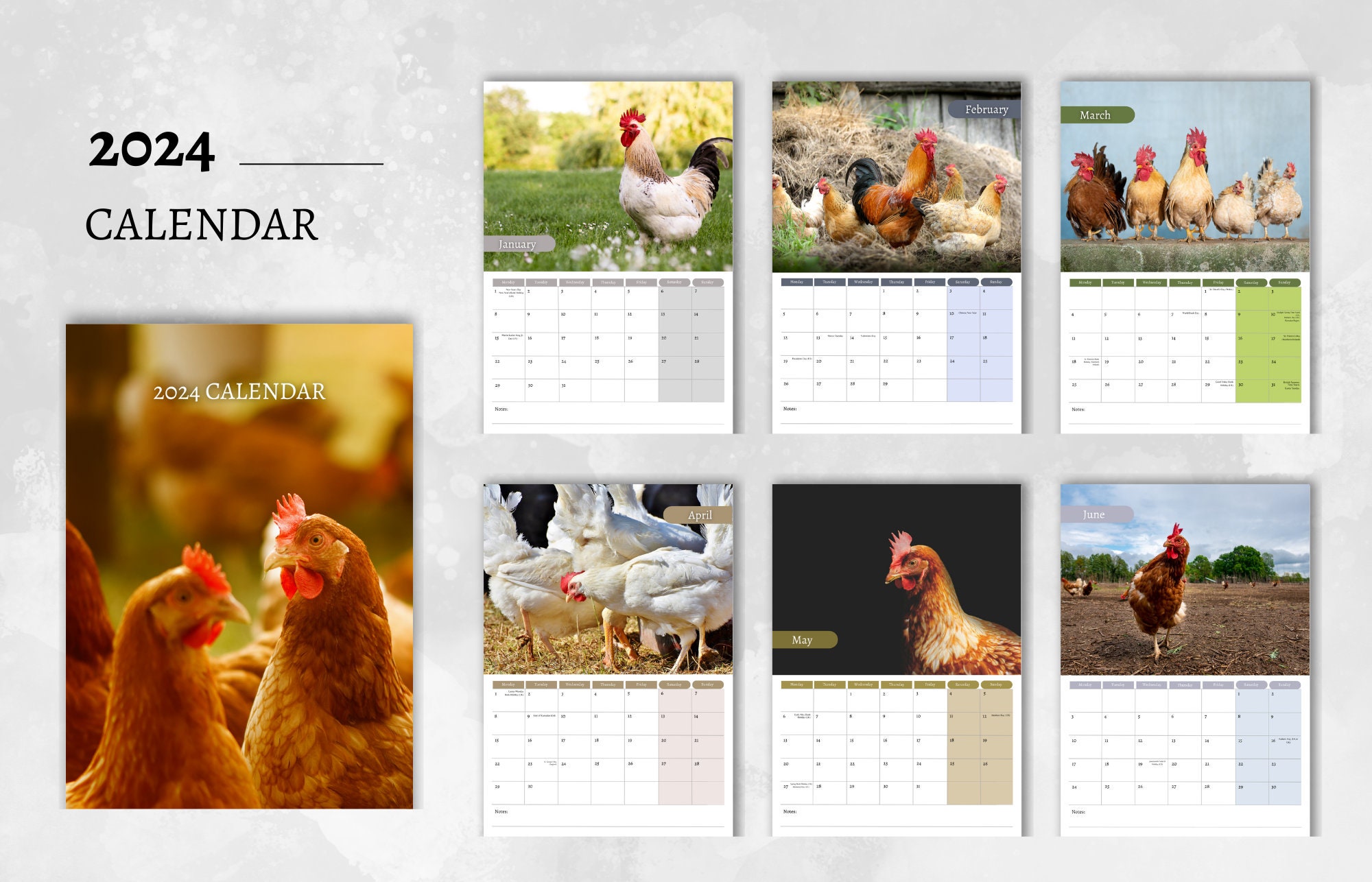 Chicken Calendar 2024 Monthly Wall Calendar A4 Size Etsy