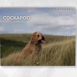 May include: A spiral-bound calendar featuring a Cockapoo dog in a field of tall grass. The calendar cover reads "COCKAPOO 2026 CALENDAR" in white text. The dog has brown fur and a pink tongue, with a blurred background of a cloudy sky.