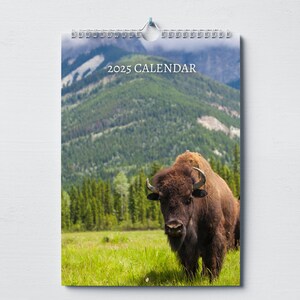Bison Kalender 2025: Wandkalender 2025 mit Notizen, Monatskalender, A4 Format, mit wichtigen Terminen & Feiertagen