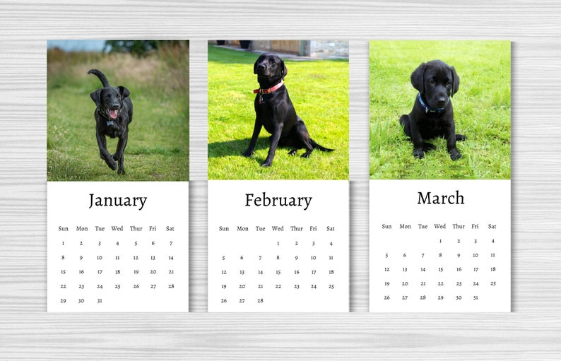 Black Labrador Calendar 2024 Mini Desk Calendar Black Etsy UK