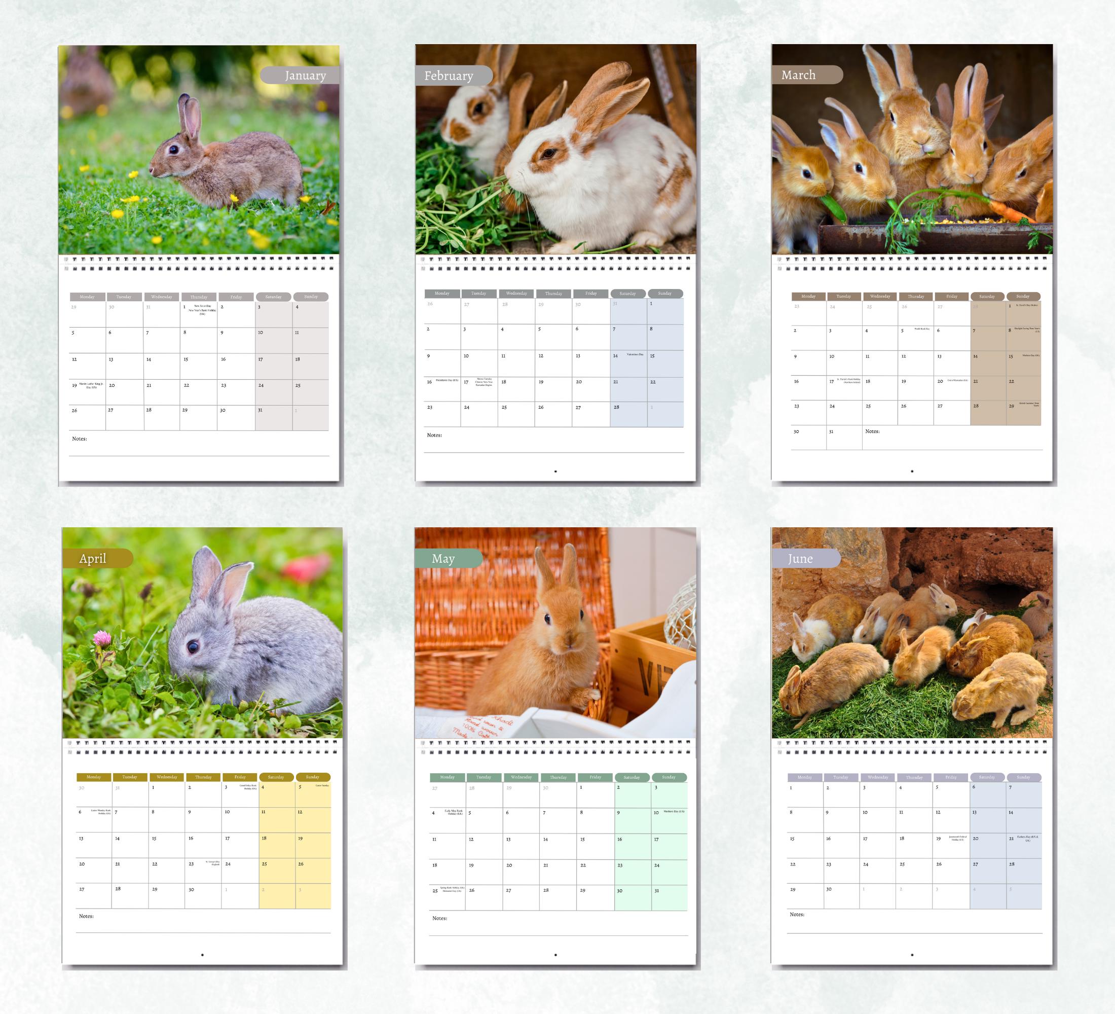 Rabbit Calendar 2026: Monthly Wall Calendar With Notes, Opens to A3 ...