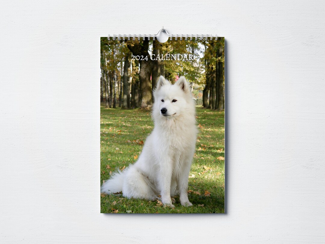 Samoyed Calendar 2024 Monthly Wall Calendar A4 Hanging Etsy
