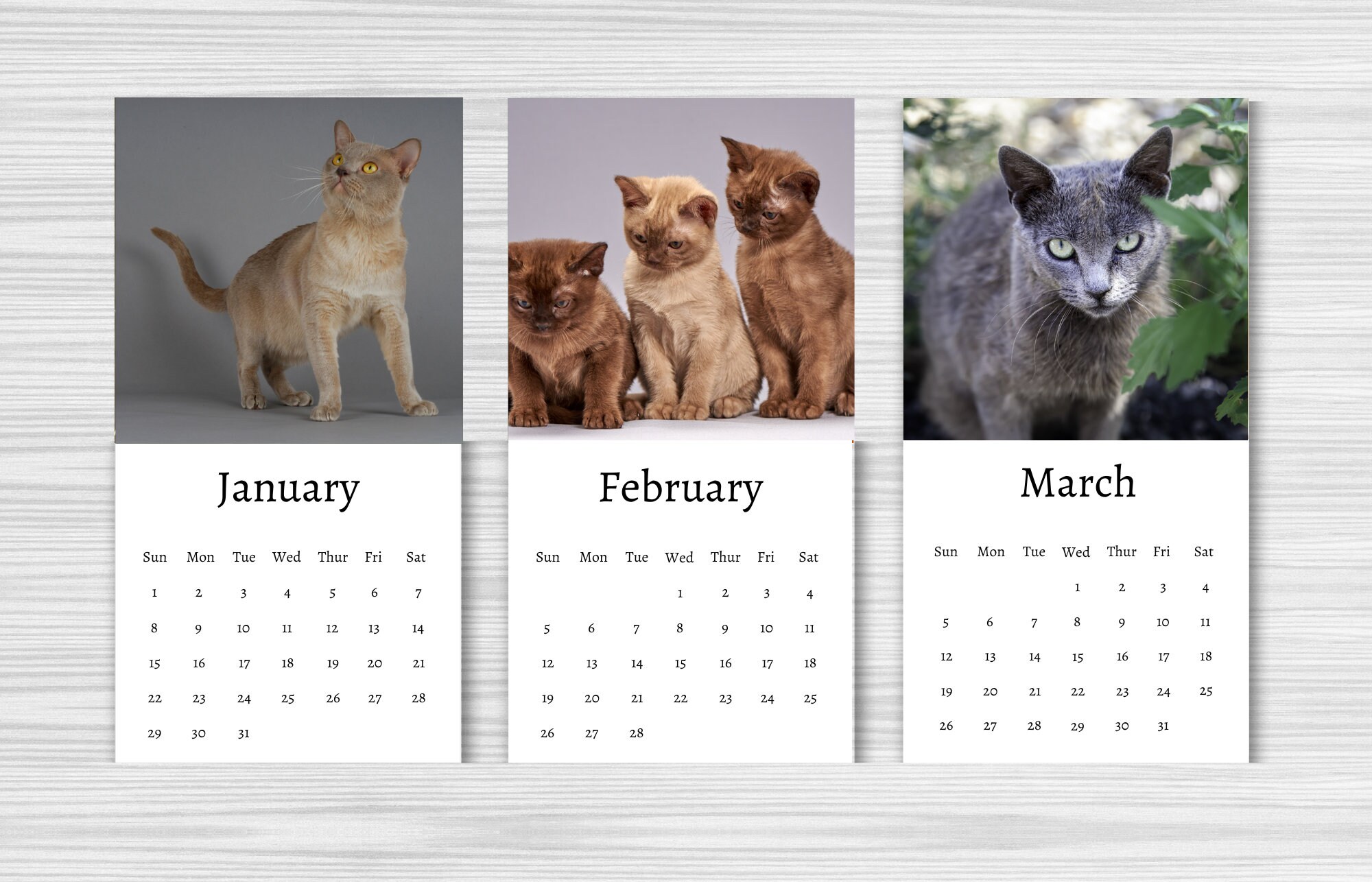 Burmese Calendar 2024 Mini Desk Calendar Burmese Calendar Etsy UK