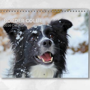 May include: A spiral-bound calendar featuring a Border Collie dog with black and white fur, and the text "BORDER COLLIE 2026 CALENDAR". The dog is smiling with its mouth open, and snow is visible on its fur.