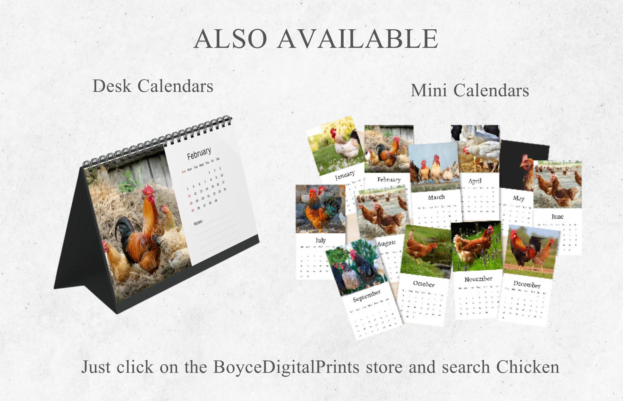 Chicken Calendar 2024 Monthly Wall Calendar A4 Size Etsy