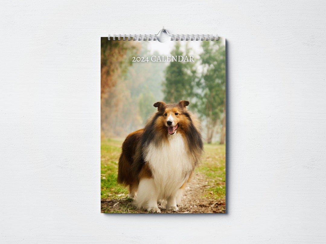 Collie Calendar 2024 Monthly Wall Calendar, A4 Size Hanging Calendar