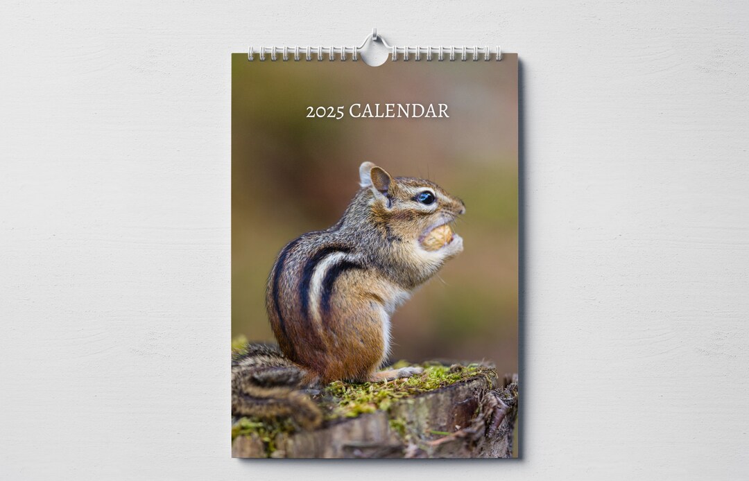 Chipmunk Calendar 2025 Monthly Wall Calendar With Notes, Hanging A4