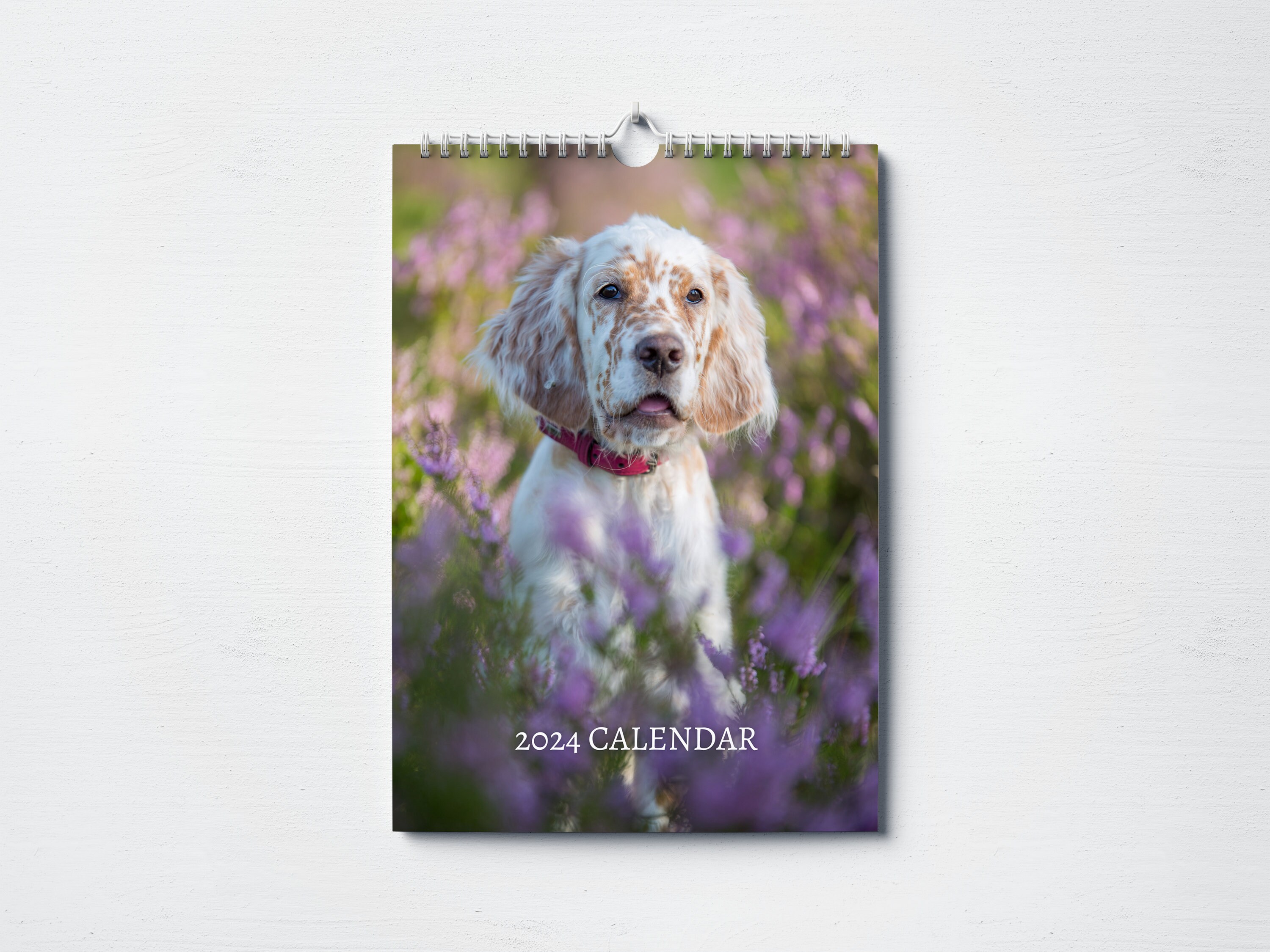 English Setter Calendar 2025 aggy karita