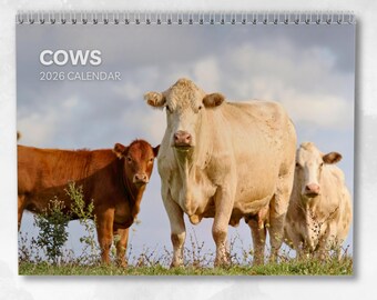 Calendario de vacas 2026: Calendario de pared mensual con notas, tamaño A3, fechas clave y días festivos.