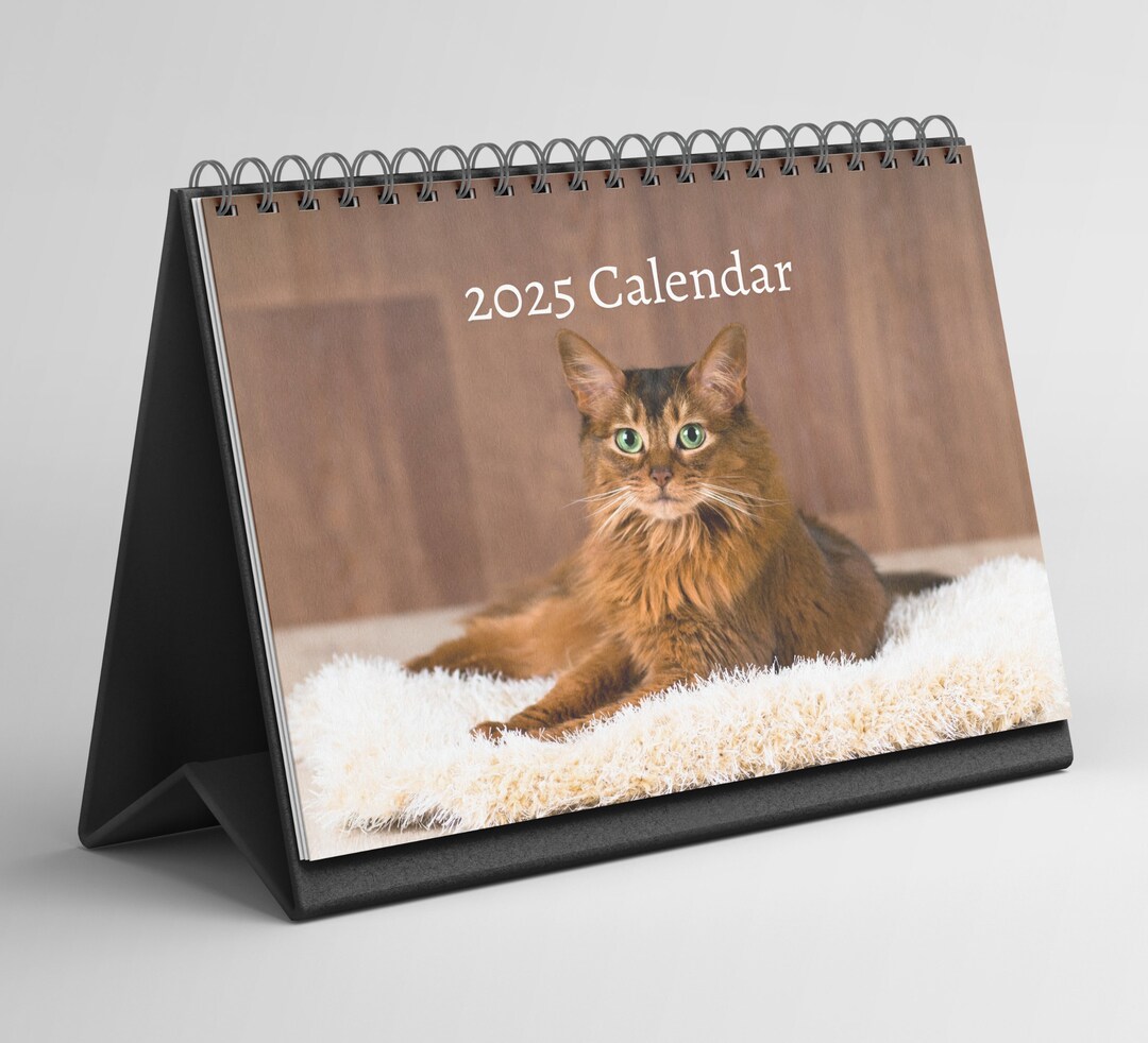Somali Cat Desk Calendar 20252026 Standing Flip Desktop Calendar With