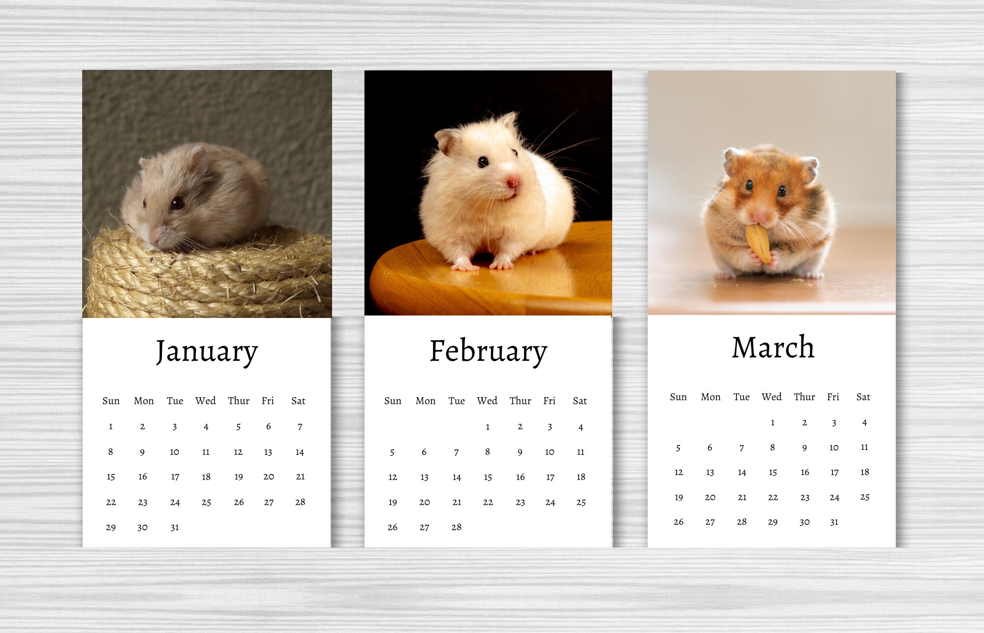 Hamster Calendar 2024 Mini Desk Calendar Hamster Calendar Etsy Canada