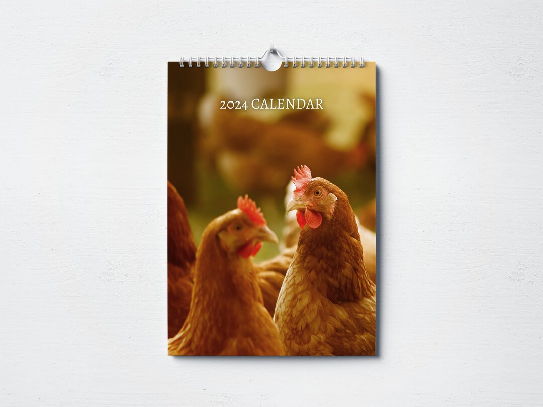 Chicken Calendar 2024 Monthly Wall Calendar, A4 Size Hanging Calendar