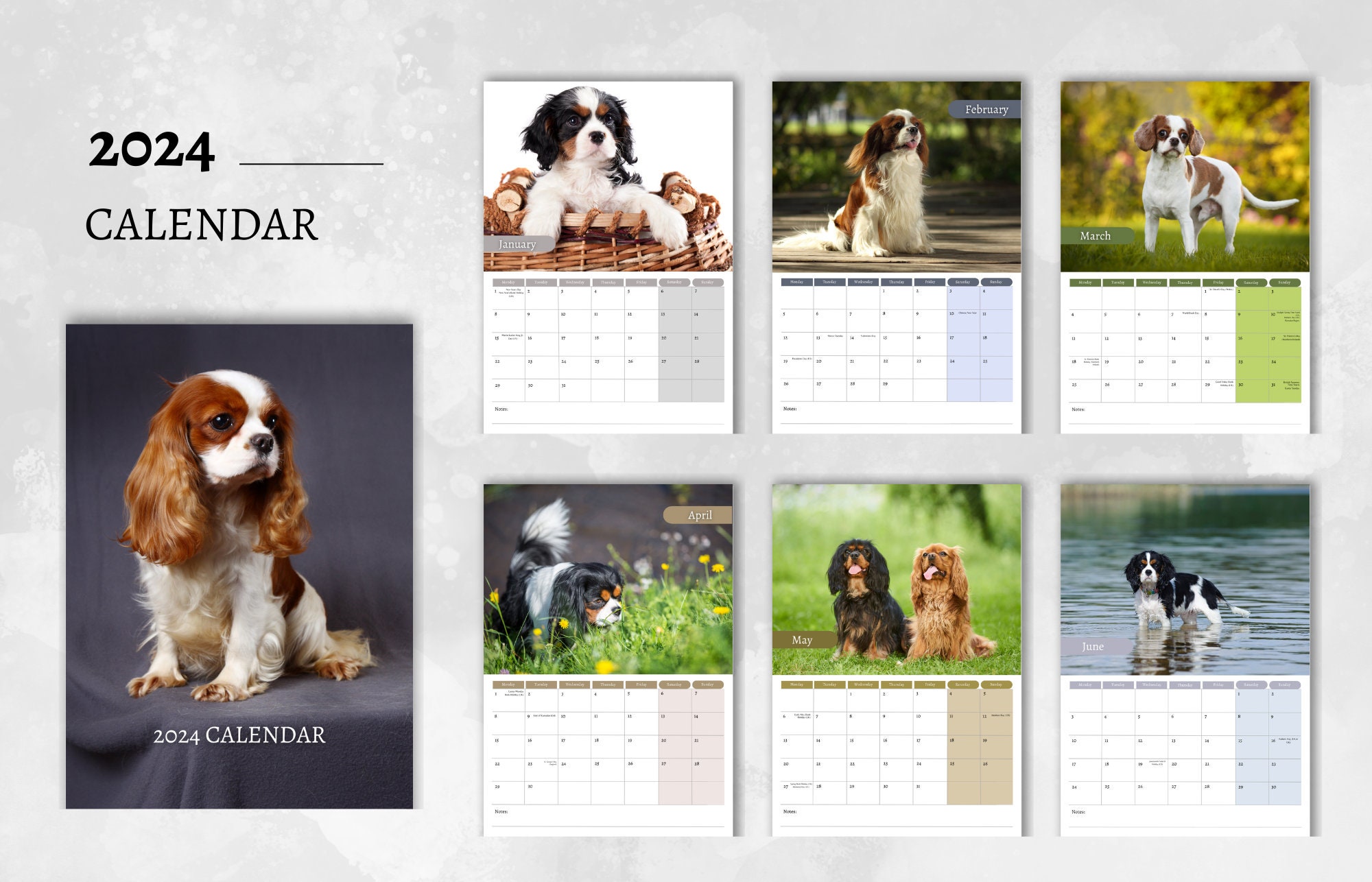 Cavalier King Charles Spaniel Calendar 2024 Monthly Wall Etsy Canada