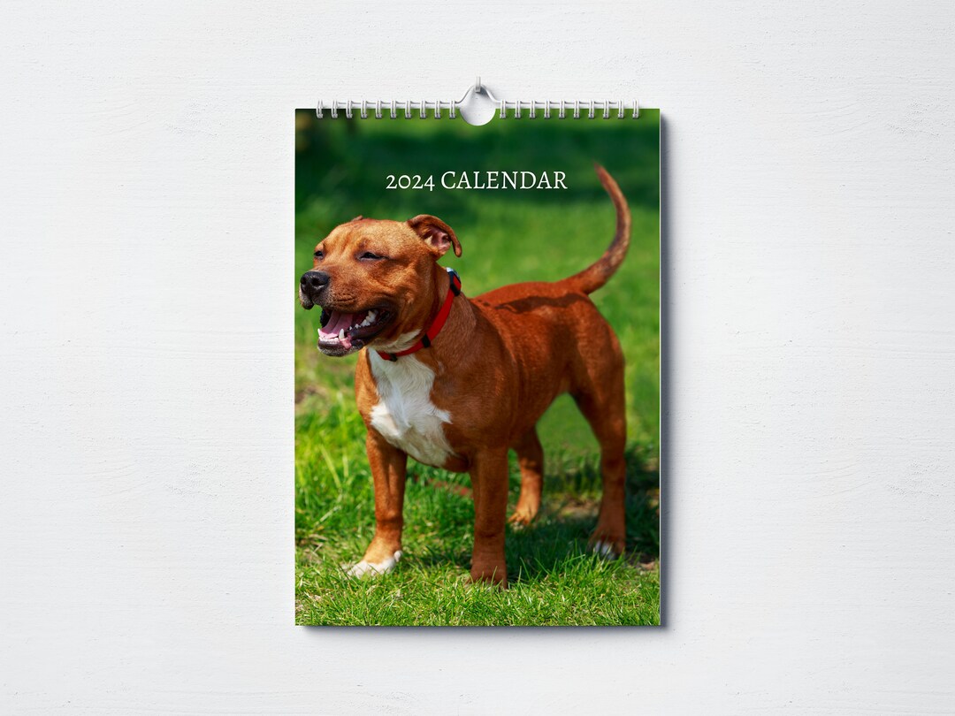 Staffordshire Bull Terrier Calendar 2024 Monthly Wall Calendar, A4