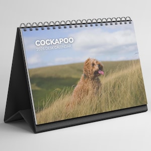 Puede incluir: Un calendario de escritorio con encuadernación en espiral y soporte negro. La portada muestra la palabra "COCKAPOO" encima de "2026 DESK CALENDAR" y una foto de un perro Cockapoo en la hierba. El perro tiene pelaje marrón y saca la lengua.