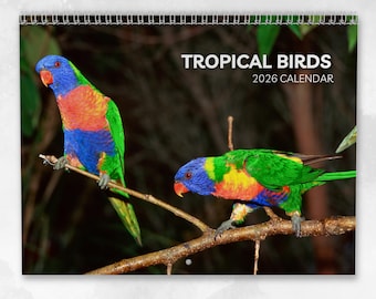 Calendario de Aves Tropicales 2026: Calendario de pared mensual con notas, tamaño A3, fechas clave y días festivos.
