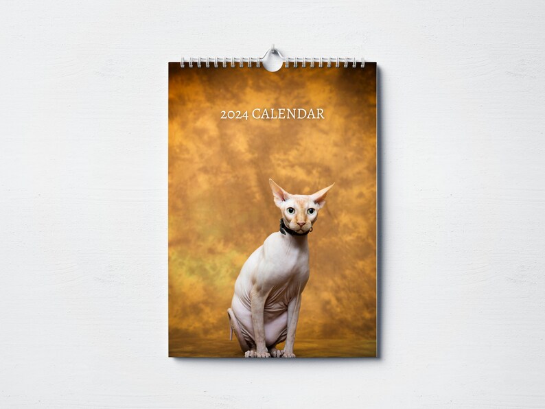 Sphynx Cat Calendar 2024 Monthly Wall Calendar, A4 Hanging Calendar