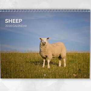 Puede incluir: Calendario con espiral que muestra una oveja en un campo de hierba bajo un cielo azul. La portada presenta la palabra "SHEEP" sobre "2026 CALENDAR" en texto blanco, con un tema rural.