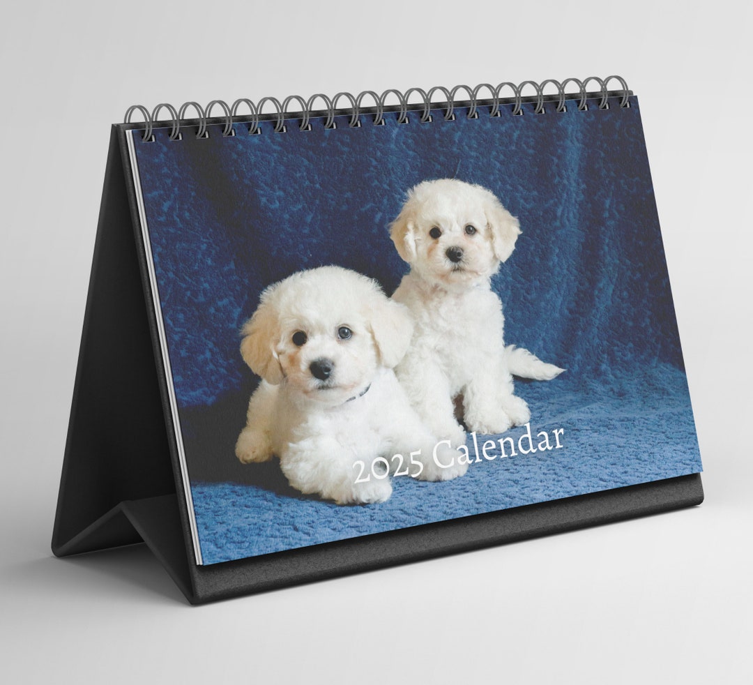 Bichon Frise Desk Calendar 20252026 Standing Flip Desktop Calendar