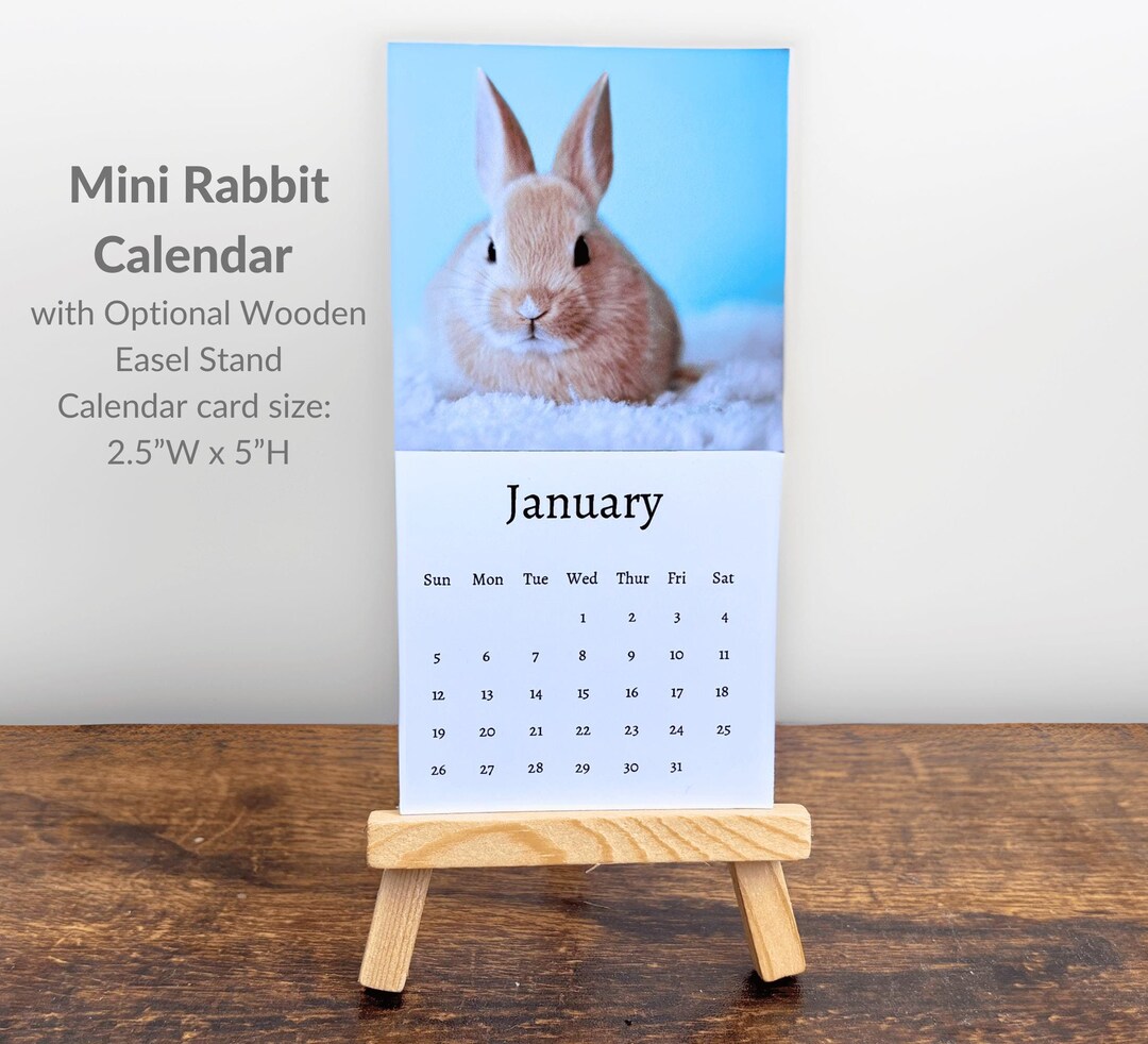 Rabbit Calendar 2025: Mini Desk Calendar, Rabbit Calendar 2025-2026 ...