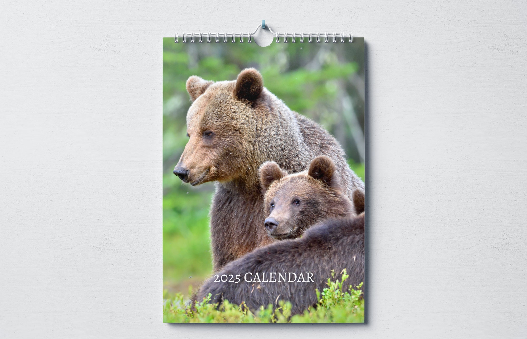 Bear Related - Etsy