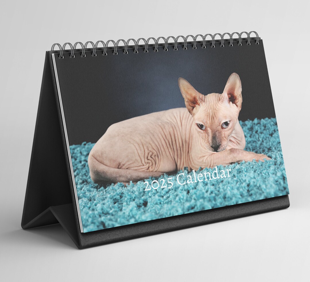 Sphynx Cat Desk Calendar 20252026 Standing Flip Desktop Calendar With