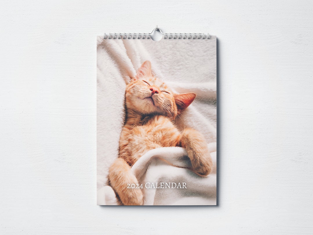 Kitten Calendar 2024 Monthly Wall Calendar, A4 Hanging Calendar Perfect