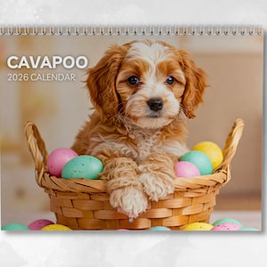 Könnte beinhalten: Ein 2026 Cavapoo-Kalender mit einem hellbraunen und weißen Welpen in einem geflochtenen Korb voller bunter Ostereier. Der Kalender hat eine Spiralbindung.