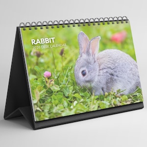 Rabbit Desk Calendar 2026-2027: Standing Flip Desktop Calendar with Thick Paper (15.25cm x 22cm - similar to A5)