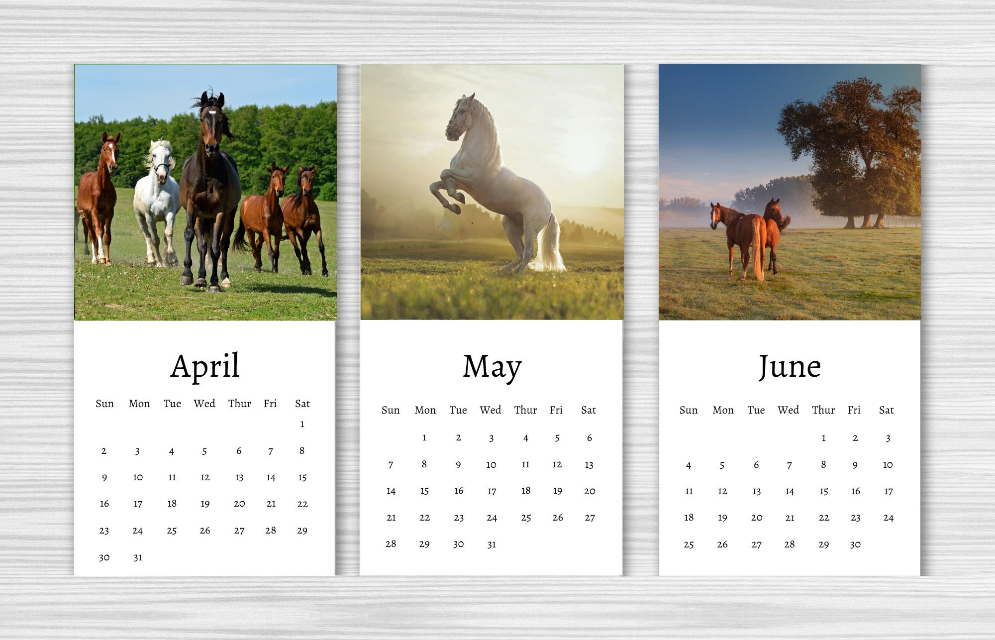 horse-calendar-2024-mini-desk-calendar-horse-calendar-etsy-uk