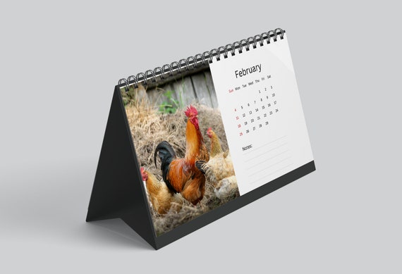 Chicken Calendar 2024 Desk Calendar Chicken Calendar 2024-2025 Perfect Gift for Stocking Fillers and Chicken Lovers - Etsy