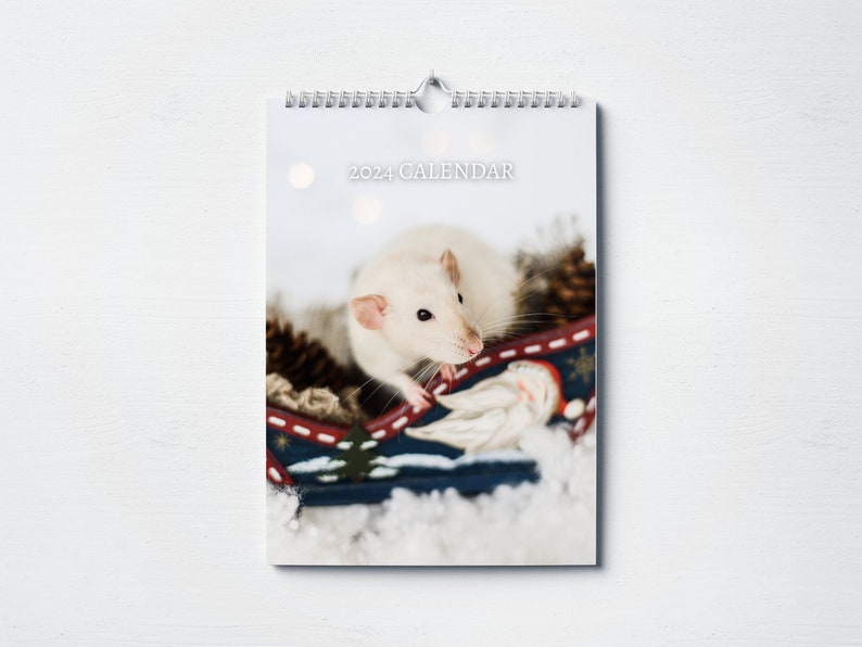 Rat Calendar 2024 Monthly Wall Calendar, A4 Hanging Calendar Perfect