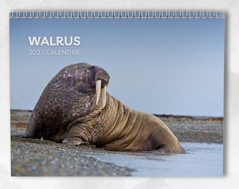 Walrus Calendar 2027: Monthly Wall Calendar with Notes, opens to A3 Size, Includes key dates & holidays