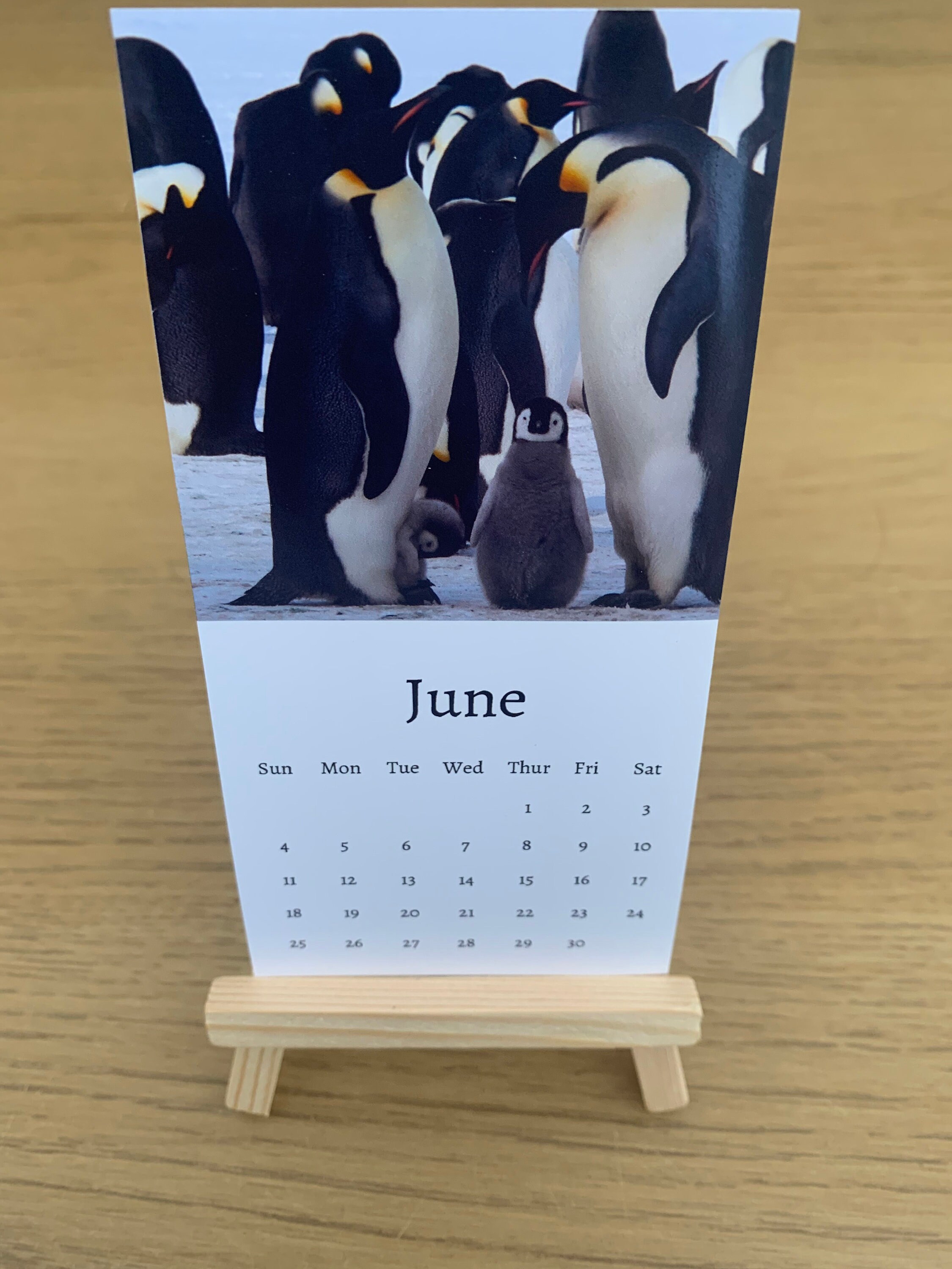 Penguin Calendar 2023 Mini Desk Calendar Penguin Calendar Etsy UK