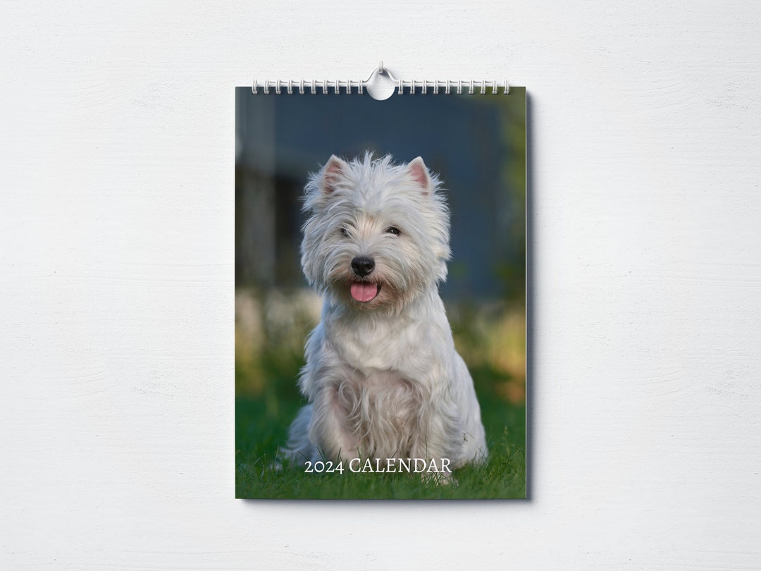 West Highland Terrier Calendar 2024 Monthly Wall Calendar, A4 Hanging