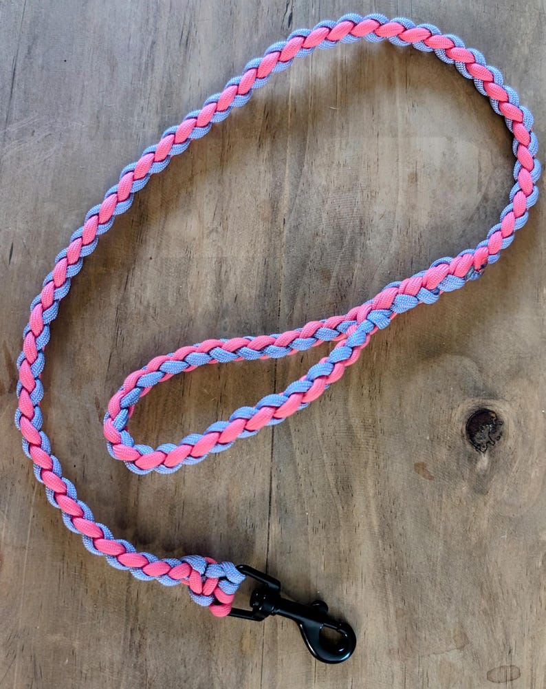 Puede incluir: Una correa para perro trenzada de color rosa y morado con un clip de metal negro.