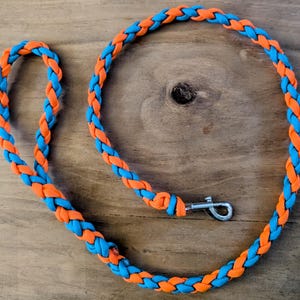 May include: A blue and orange braided dog leash with a silver clip.