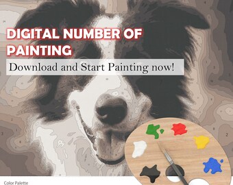 Måla efter siffror med border collie-tema, digitalt nummer av gatumålning, måla efter nummer, ladda ner måla efter nummer och måla nu, hundmålning