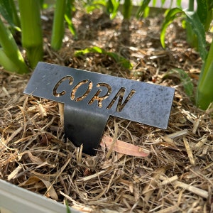 Rustic Garden Name Stakes