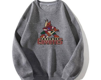 ThingsIBuyForYou Brett Hull Vintage Phoenix Coyotes CCM Hockey Jersey (L)