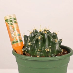 Natural Fertilizer for Cacti and Succulents, Plant growth Booster, Houseplants | Plant Food