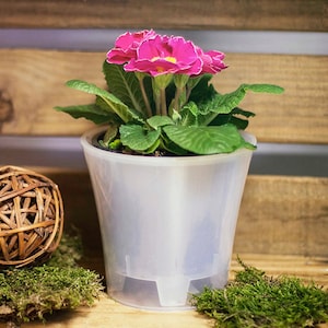 Vaso de flores moderno e inteligente, autoirrigável, plantador transparente para plantas internas e externas