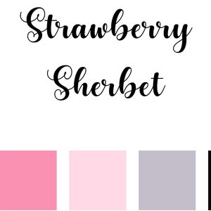 Strawberry Sherbet | Color Palette, Procreate, adobe illustrator, png, swatch