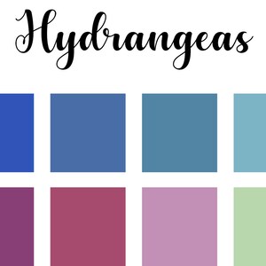 Hydrangeas | Color Palette, Procreate, adobe illustrator, png, swatch