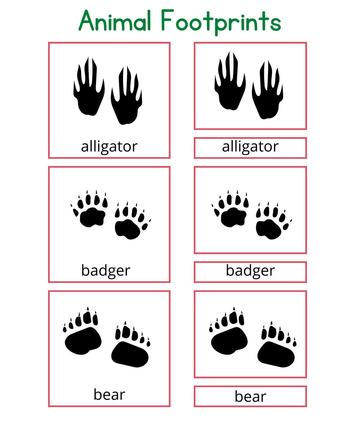 Printable 3-part Cards - Animal Footprints. Identifying Footprints ...