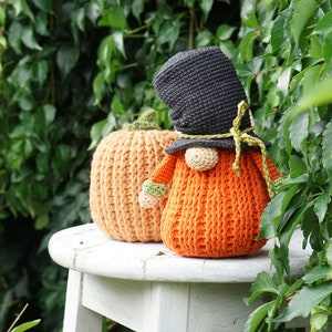 May include: A crocheted gnome wearing a black hat and holding a small orange pumpkin. The gnome and pumpkin are sitting on a white stool in front of a green leafy background.