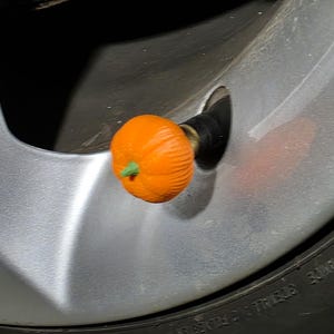 Pompoen ventieldopjes voor banden